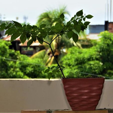 Flor Del Valle Posada Tarapoto Zewnętrze zdjęcie