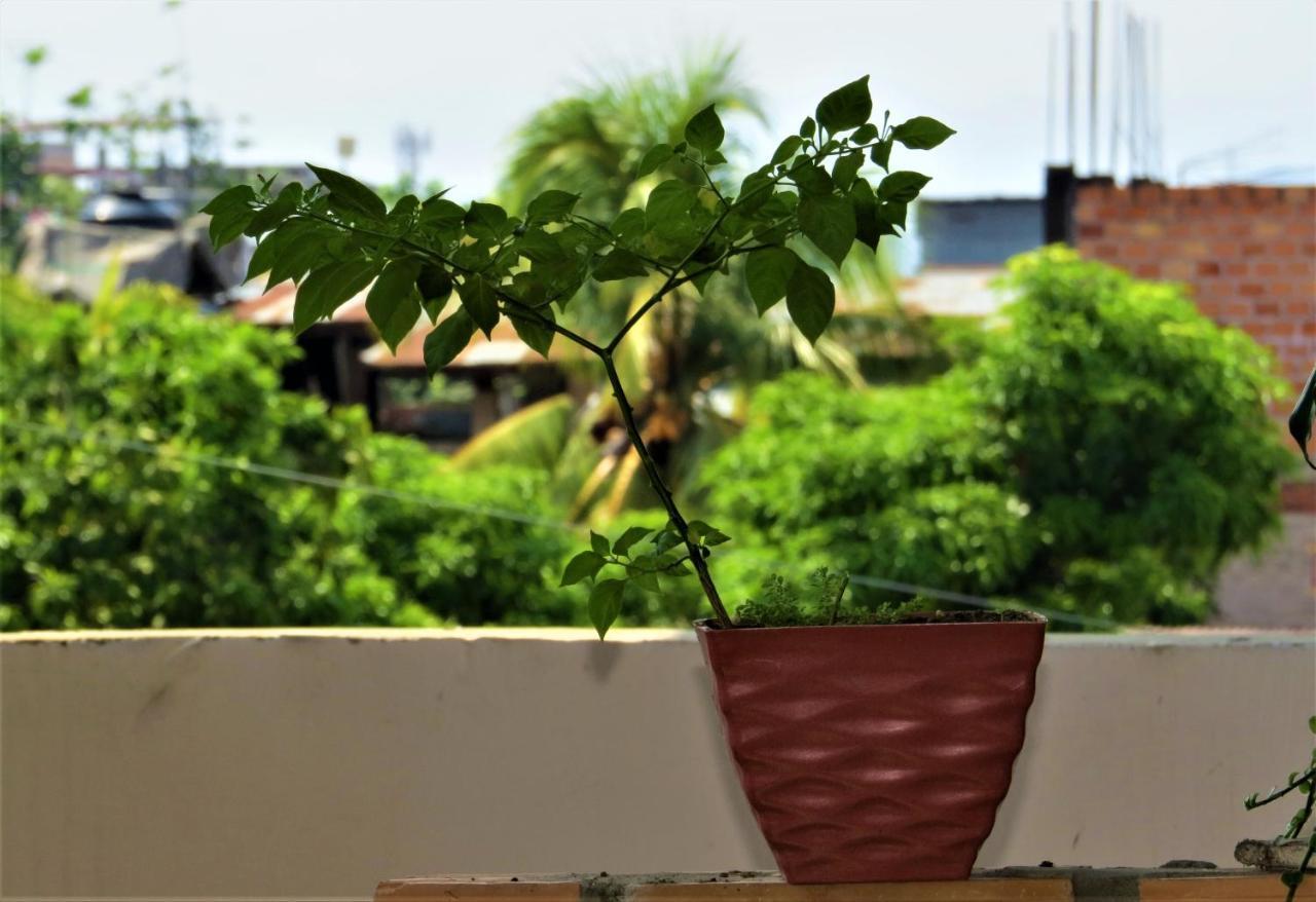 Flor Del Valle Posada Tarapoto Zewnętrze zdjęcie
